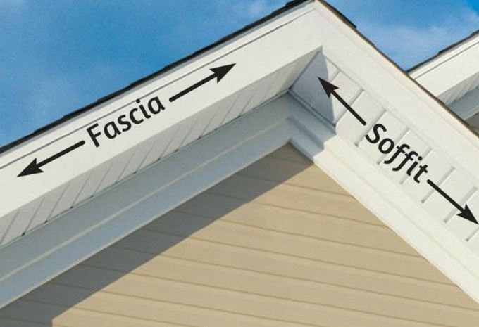 Fascia home page