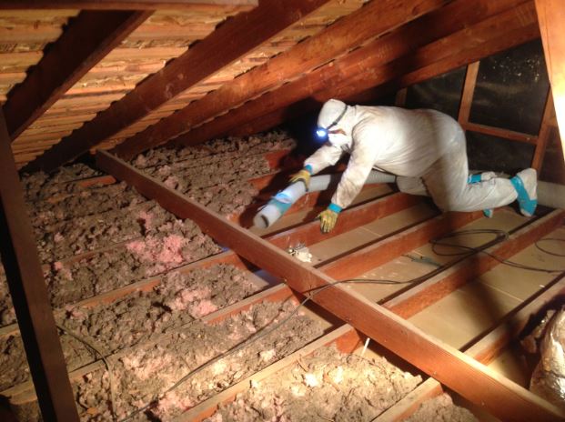 Insulation removal